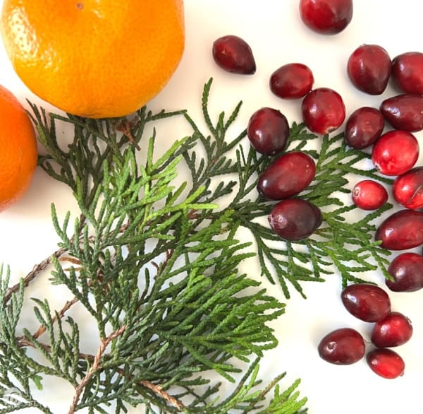 Cedar greens, cranberries and orange