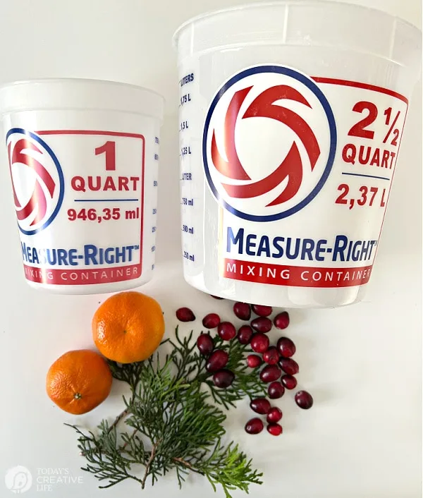 Supplies for making DIY ice bucket: plastic buckets, cedar, cranberries, orange