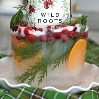 up close look at an ice mold with orange slices, cedar and cranberries