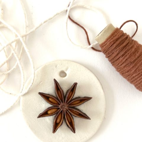 White round piece of dried clay with a star anise seed in the middle.