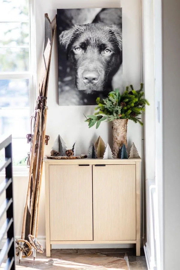 Holiday decor with a black and white dog poster.