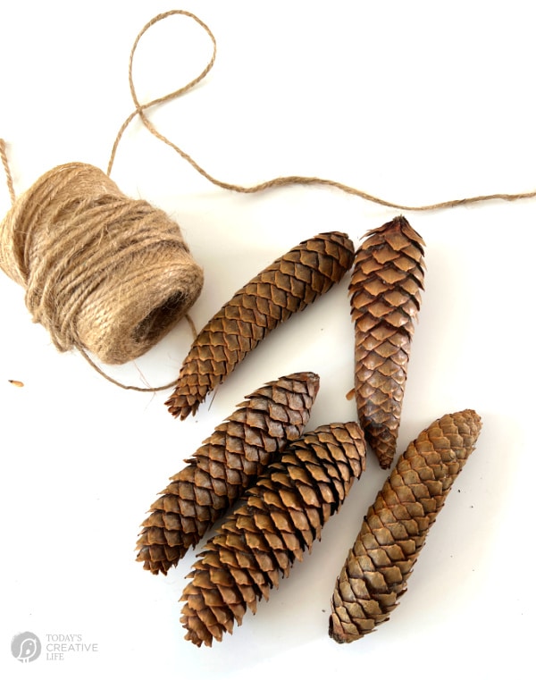 Pinecones and a bundle of twine.