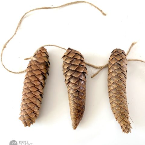 three long pinecones with string