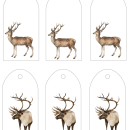 reindeer gift tags