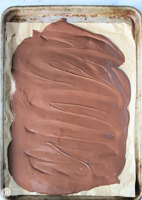 Recipe for Peppermint bark - melted milk chocolate spread out on parchment paper lined pan