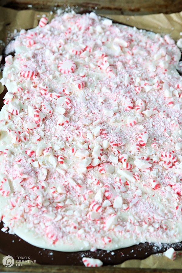 Recipe for peppermint bark candy. Peppermint candies sprinkled on top. 