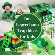 40 Brilliant Leprechaun Trap Ideas