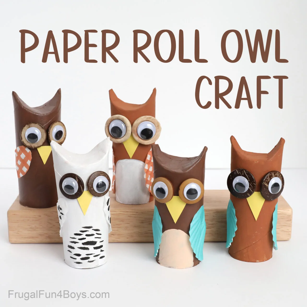 Toilet Paper Roll Owls