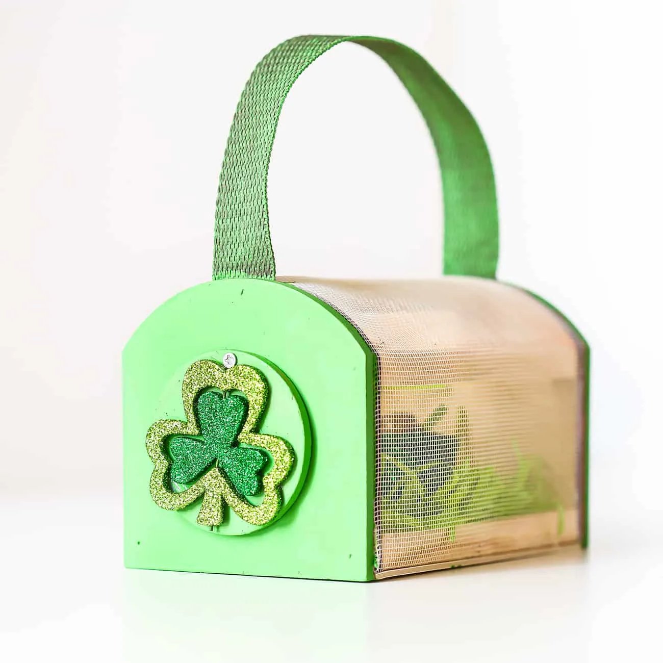 Easy Leprechaun Trap for Kids in Under an Hour